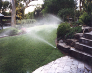 Water Features & Lighting